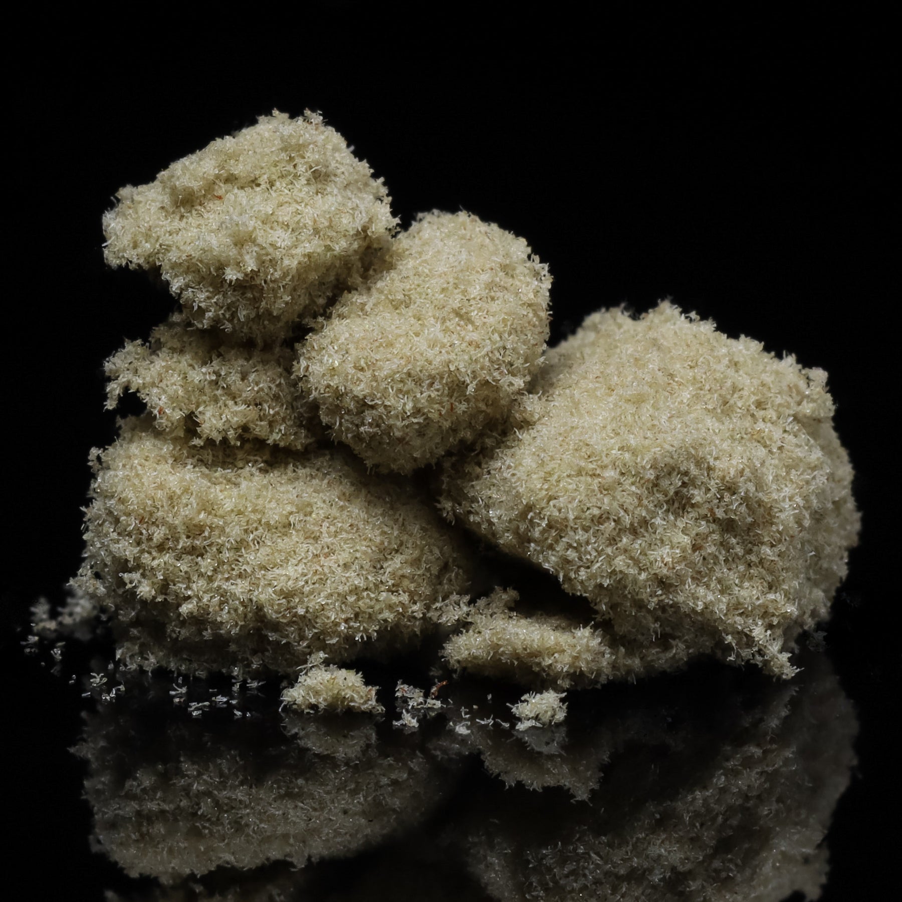 Hemp Hop Houston - Asteroids™, THCA Moonrocks, Hash Products