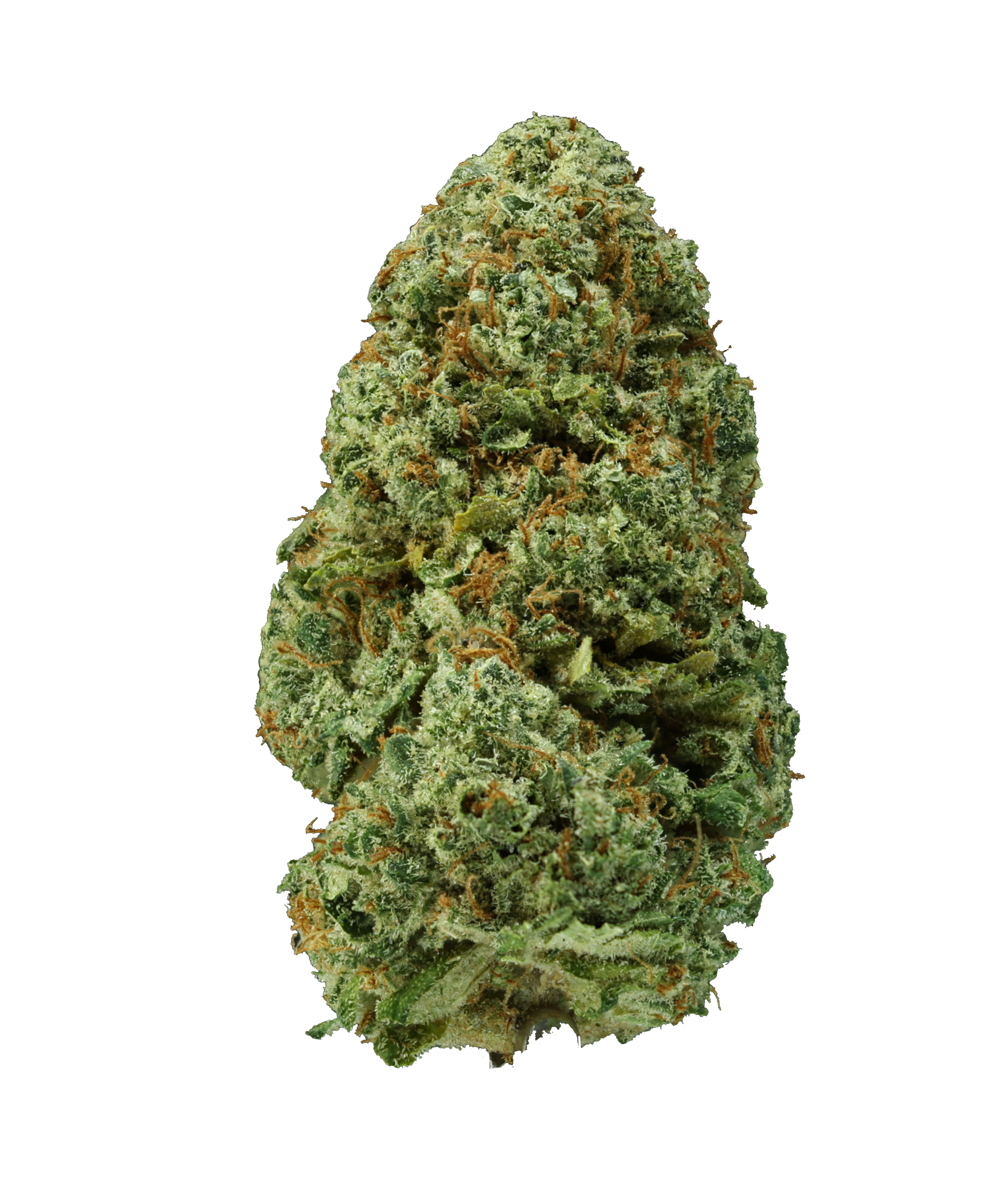 Bermuda Triangle Indoor High THCA Cannabis Flower