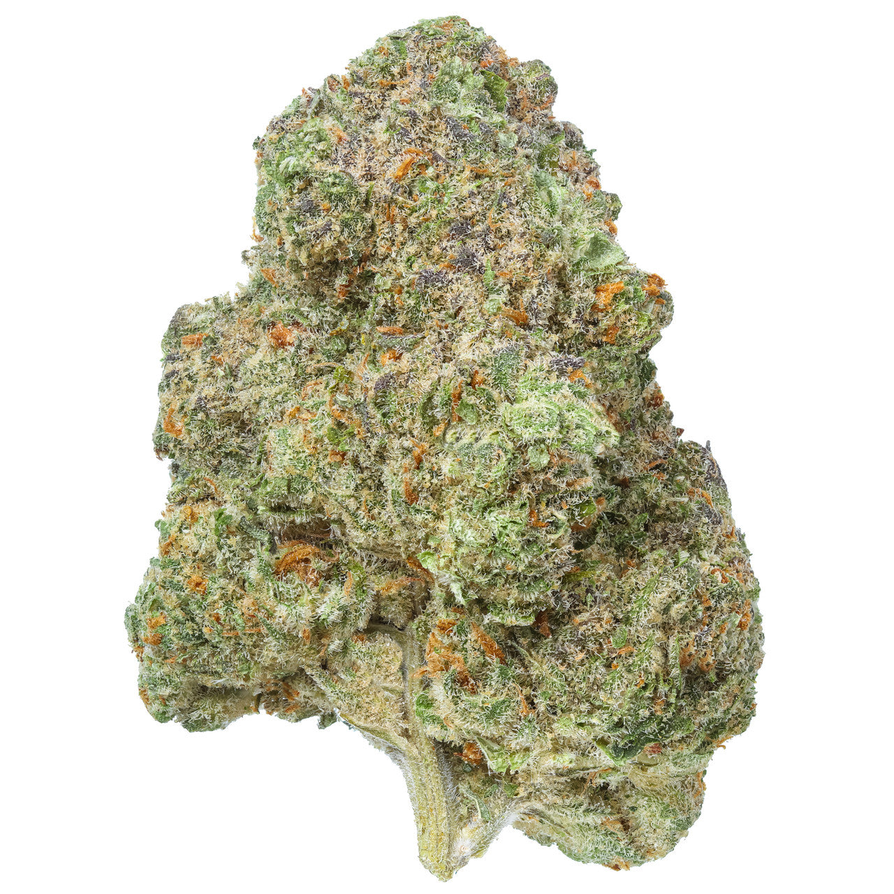 Bright Green Crack Cannabis Buds - Dense, Trichome-Covered with Vibrant Orange Hairs