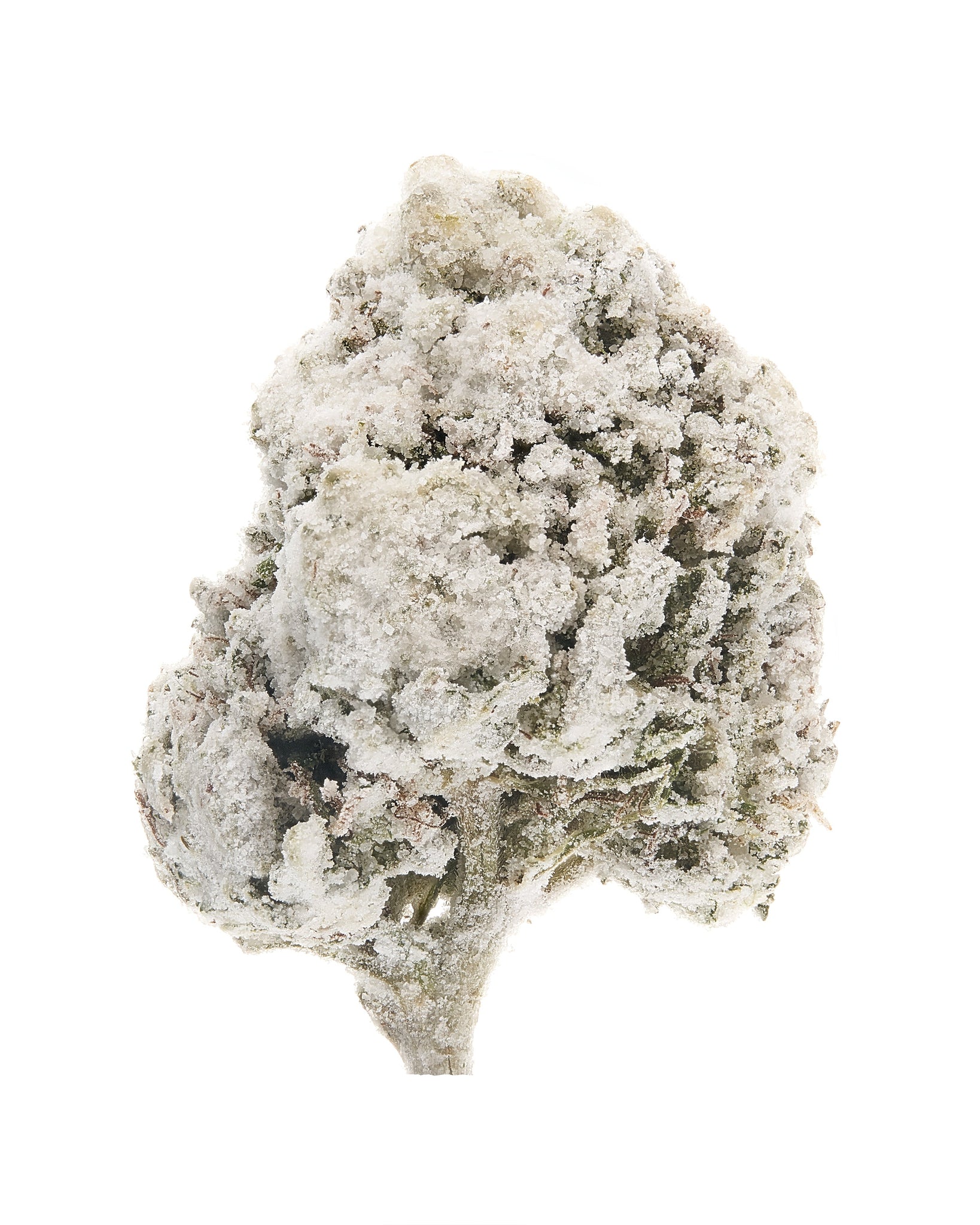 asteroids® cannabinoid enhanced flower