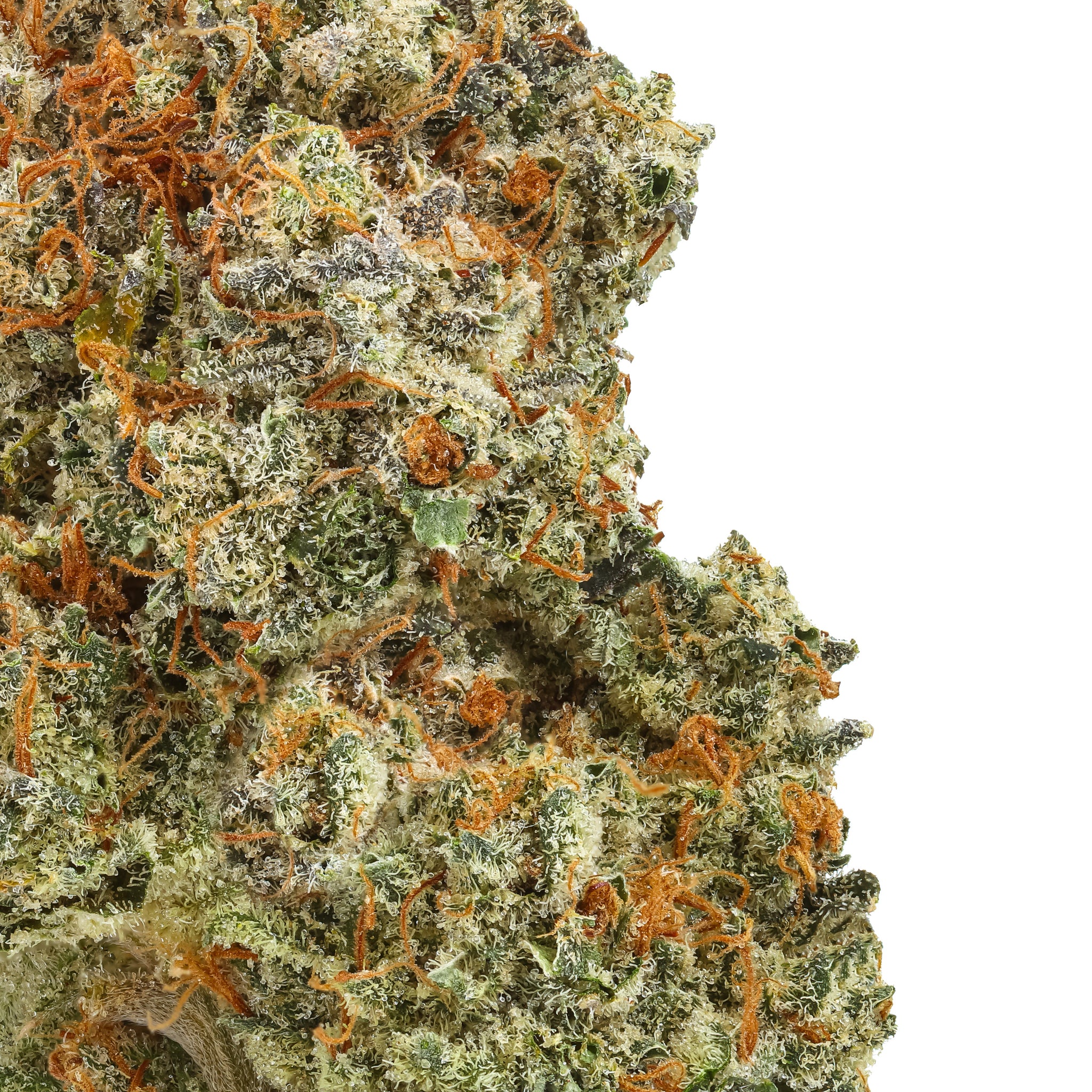Gravel Pit THCa Flower
