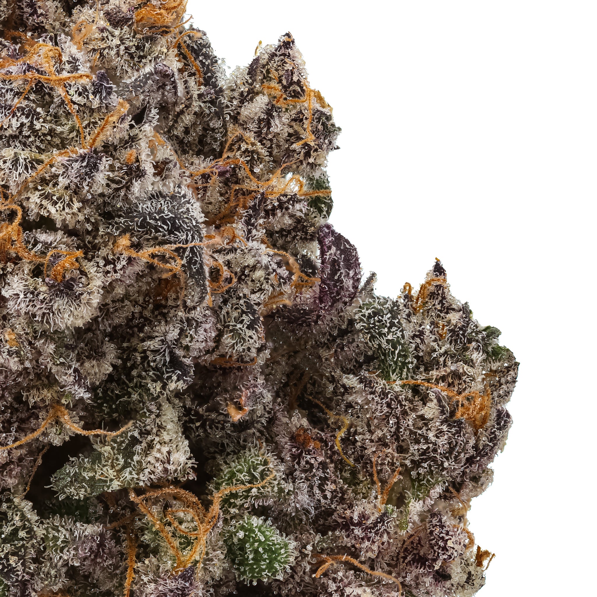 Pink Perfume THCa Flower