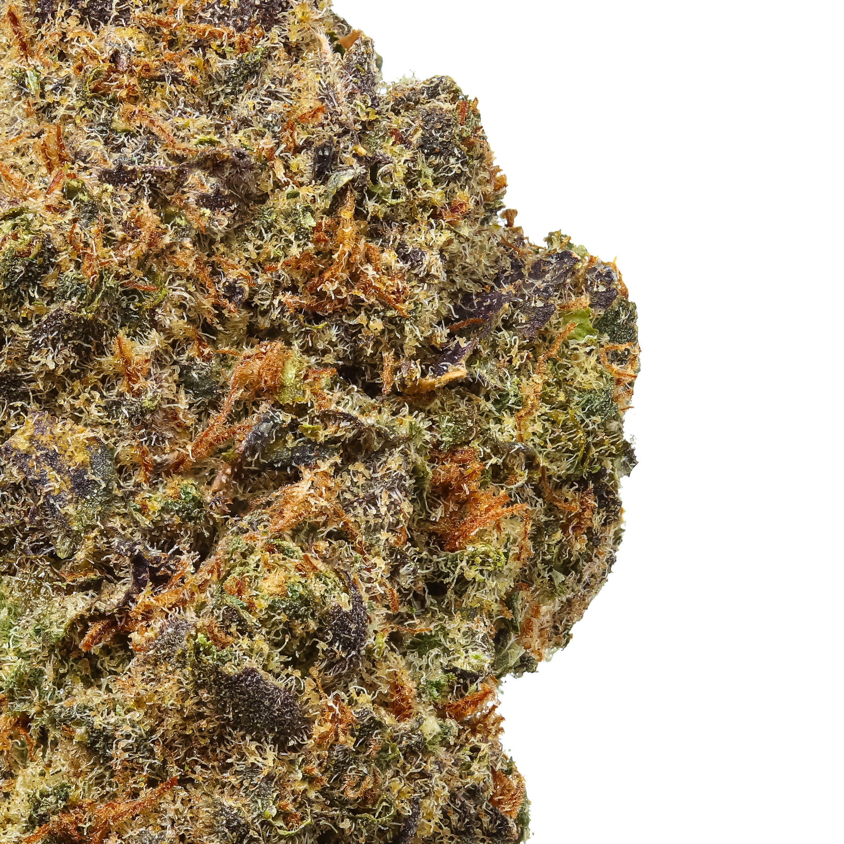 SkittlesZoom_2729x.jpg?v=