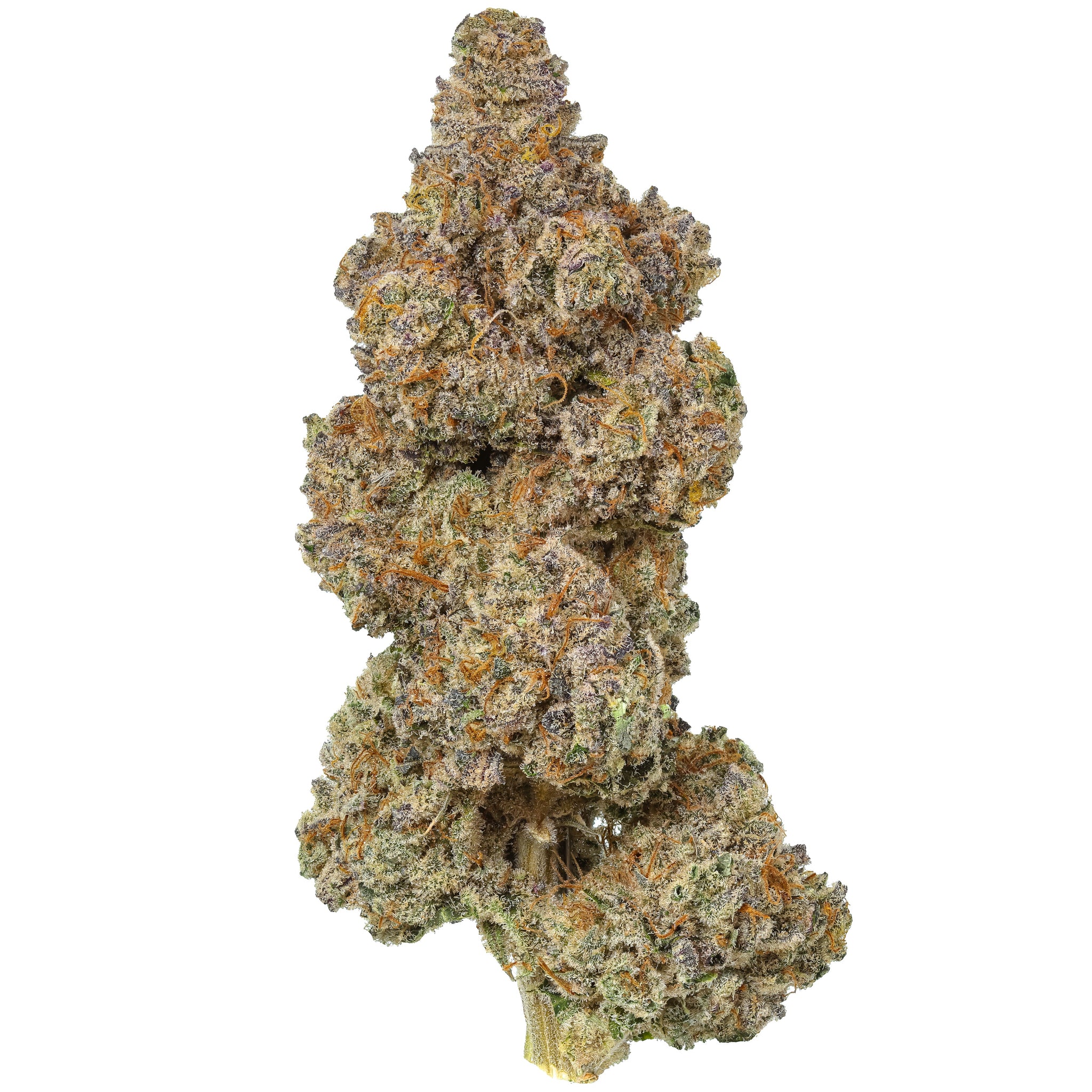 Bremix cannabis strain with dense, trichome-covered buds