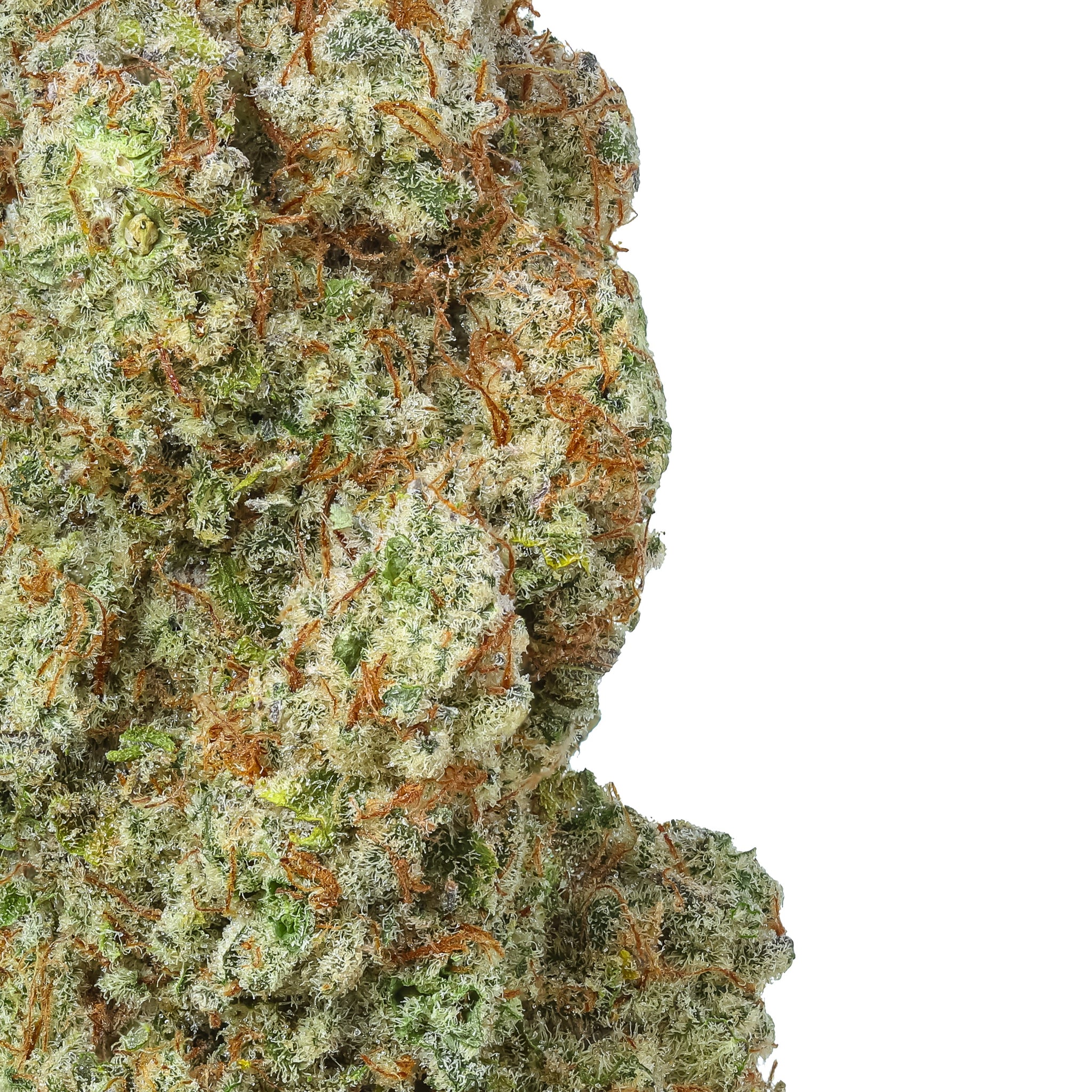 Aroma profile of Trainwreck - lemon, pine, and pepper