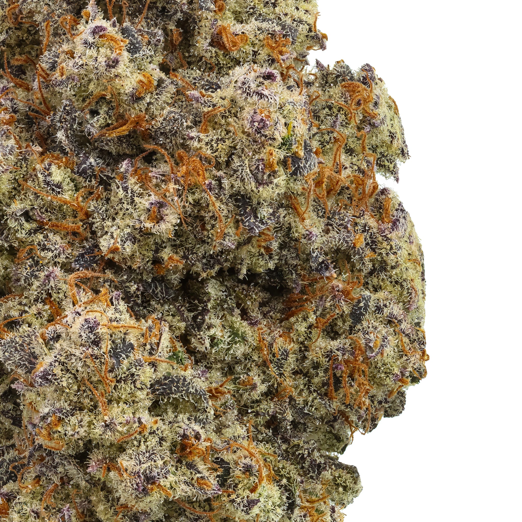 Gary’s Inferno THCa Flower