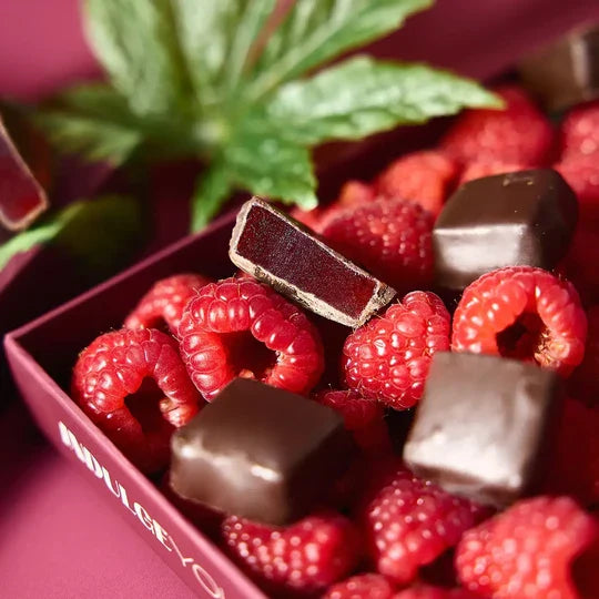 Hometown Hero Raspberry Jelly Dark Chocolate Bites - 10mg THC + 10mg CBD